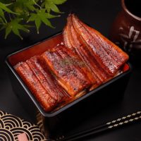 国産鰻の鰻重